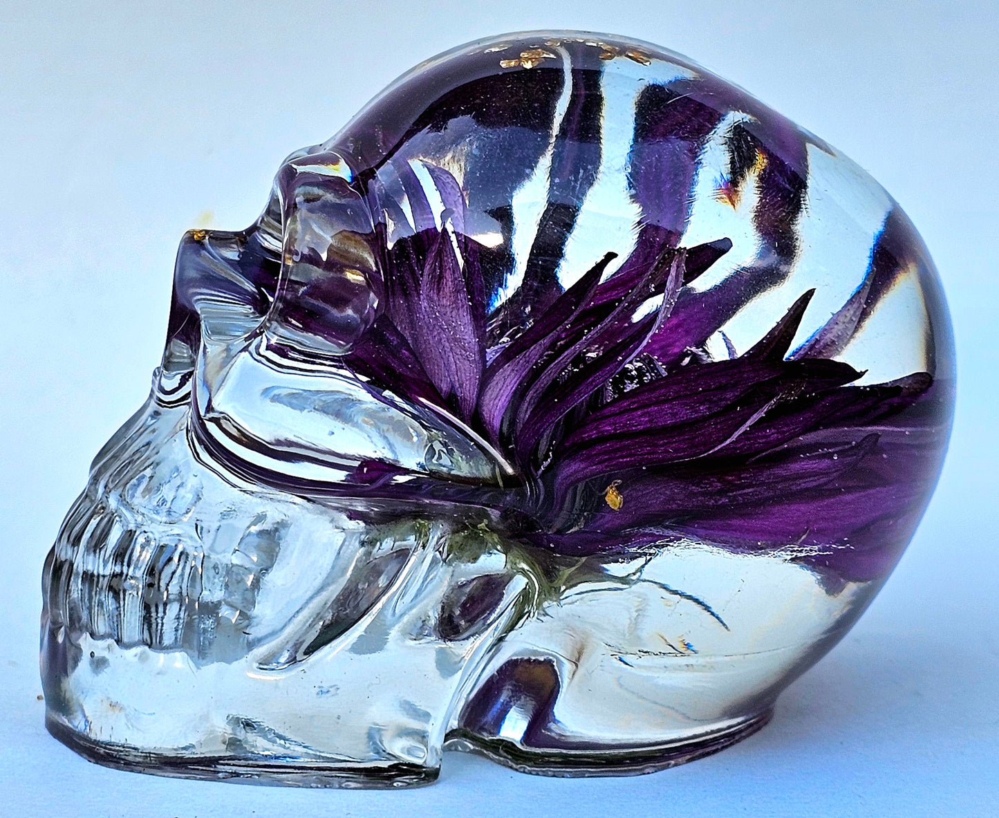 SOLD #0052 Handmade Resin Skull - Large Wild Aster Flower, also has gold accents