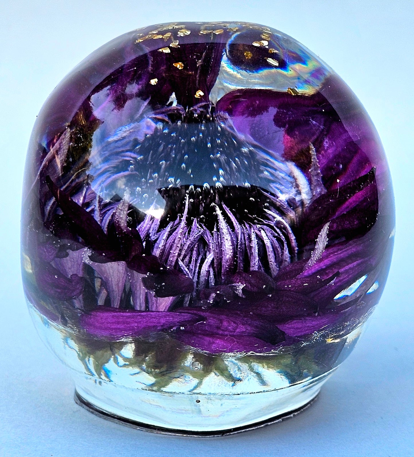 SOLD #0052 Handmade Resin Skull - Large Wild Aster Flower, also has gold accents