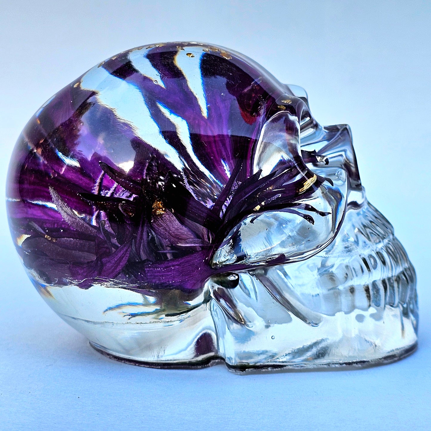SOLD #0052 Handmade Resin Skull - Large Wild Aster Flower, also has gold accents