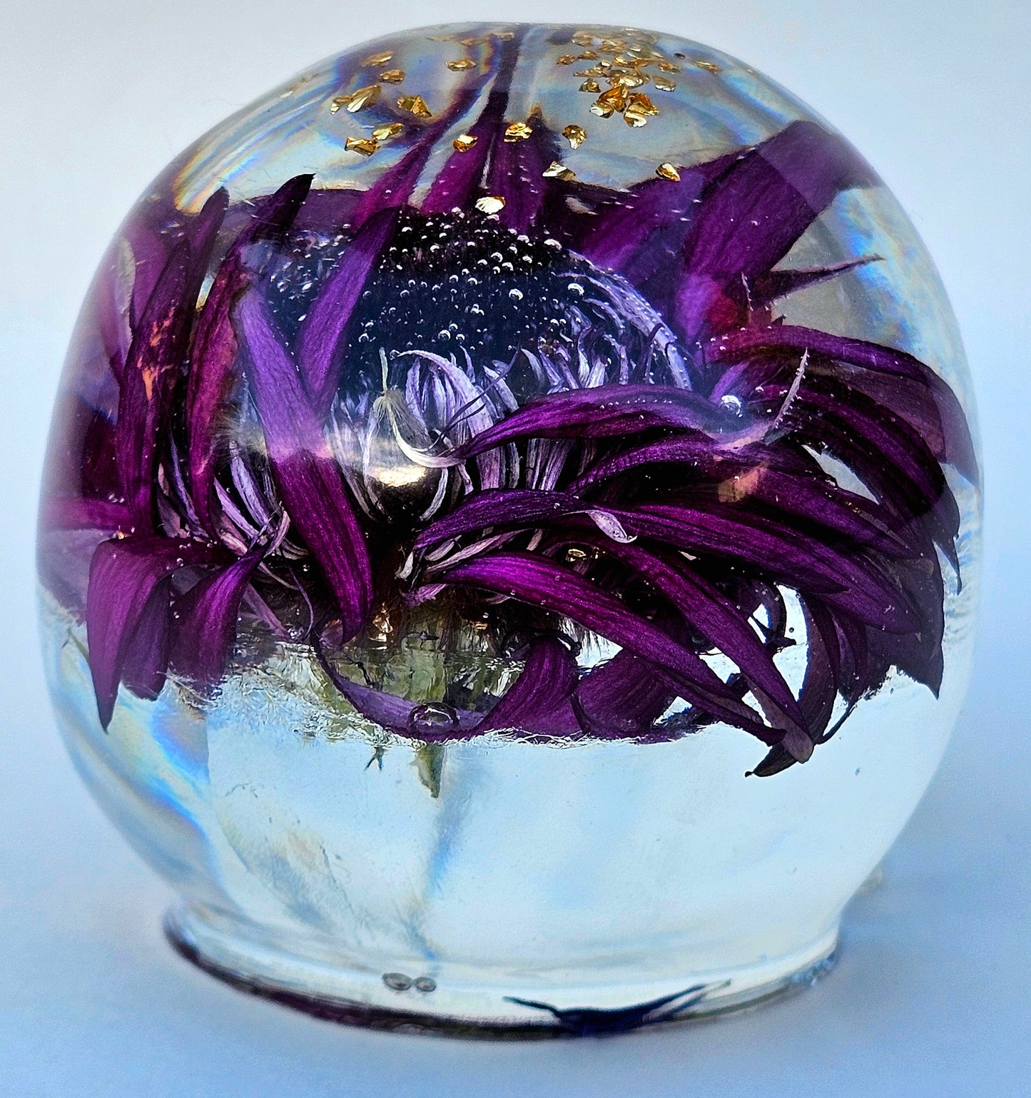 SOLD - Handmade Resin Skull - Large Wild Aster Flower, also has gold accents