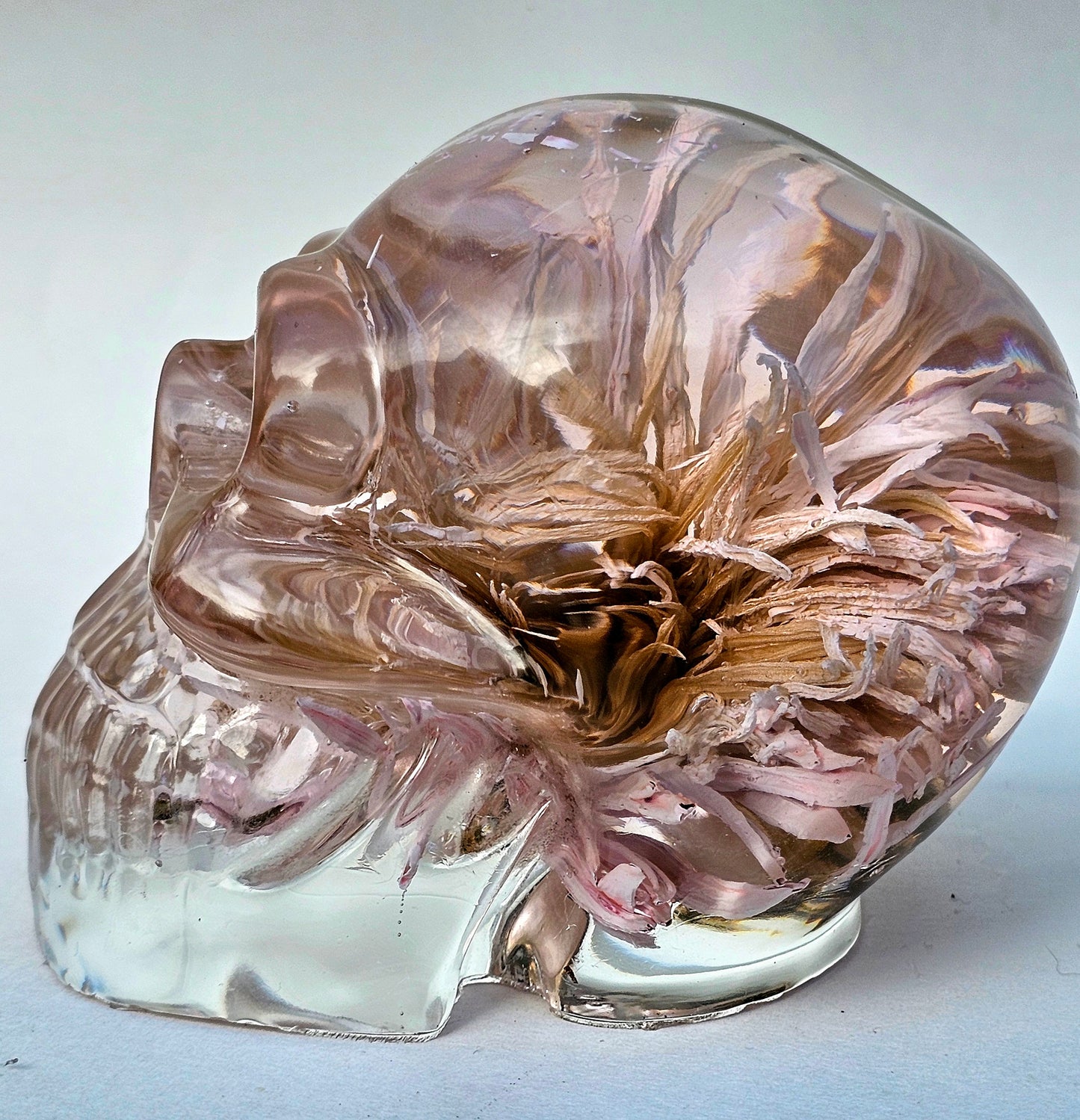 SOLD #0066 Handmade Resin Skull - One large white/pink Aster flower