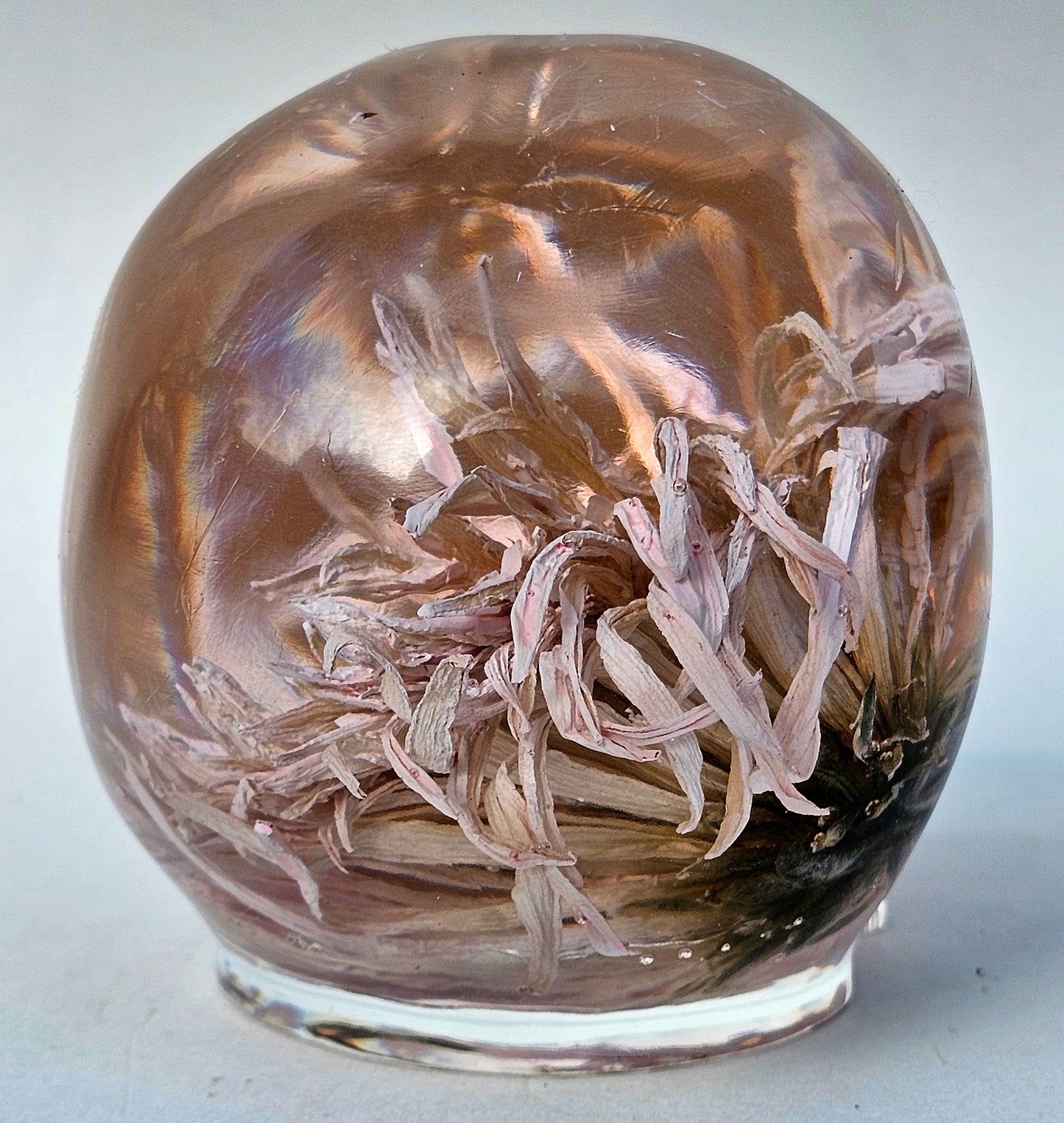 SOLD #0066 Handmade Resin Skull - One large white/pink Aster flower