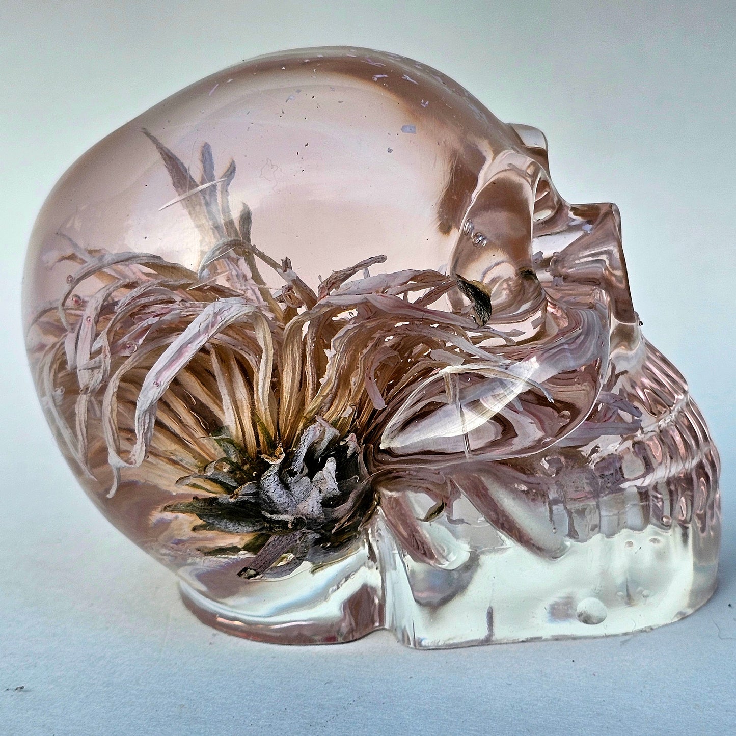 SOLD #0066 Handmade Resin Skull - One large white/pink Aster flower