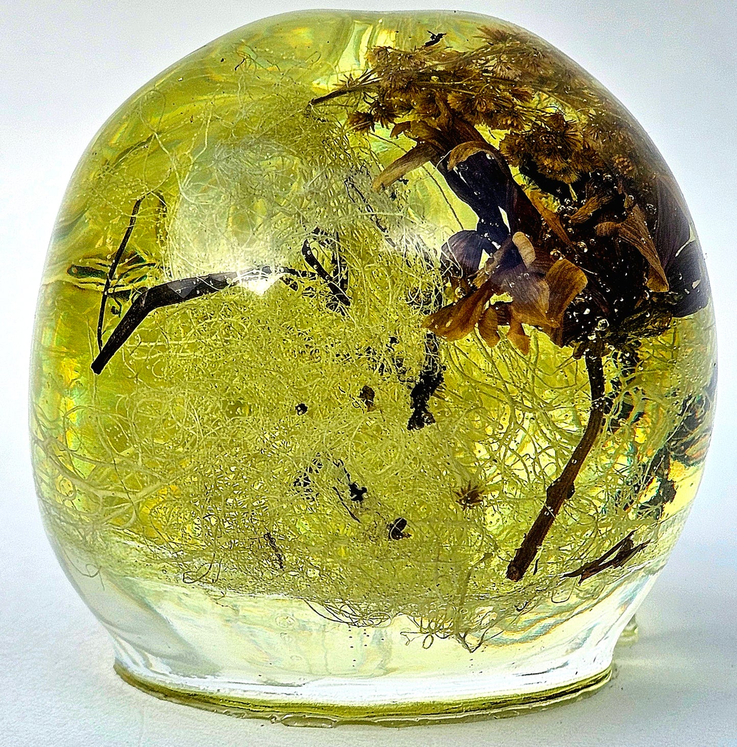 SOLD #0071 Handmade Resin Skull - Mixed tree old man's beard, tree bark