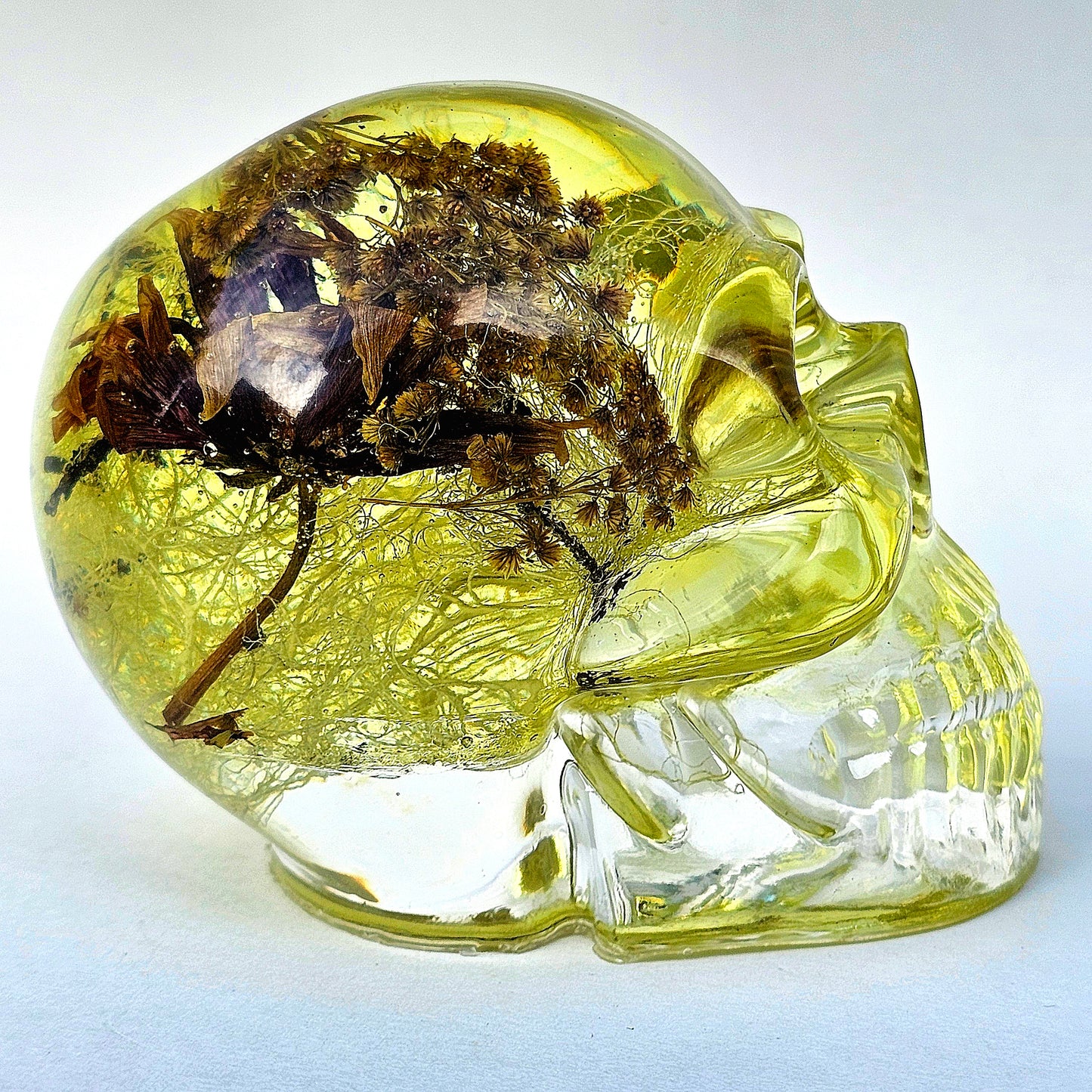 SOLD #0071 Handmade Resin Skull - Mixed tree old man's beard, tree bark