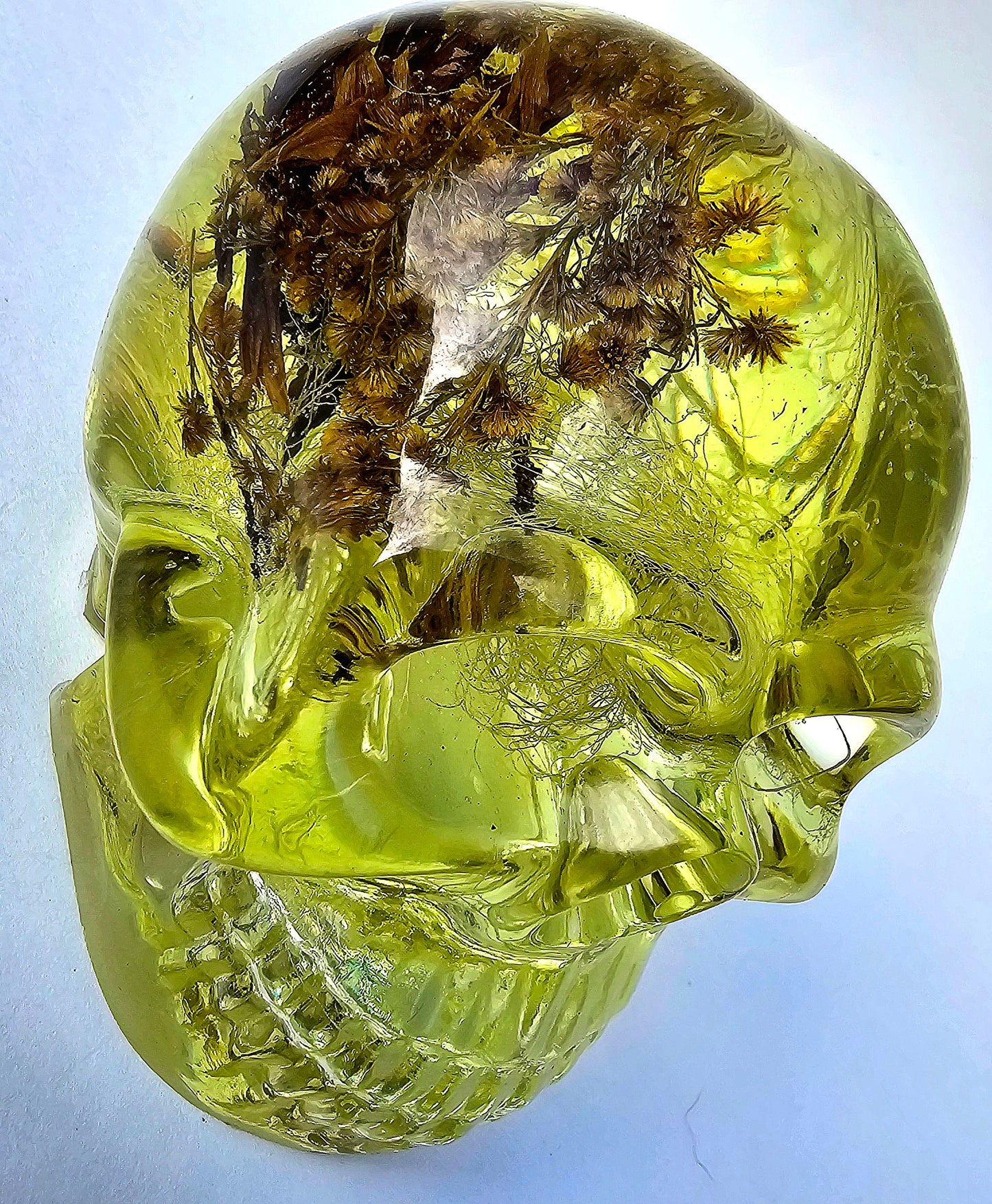 SOLD #0071 Handmade Resin Skull - Mixed tree old man's beard, tree bark