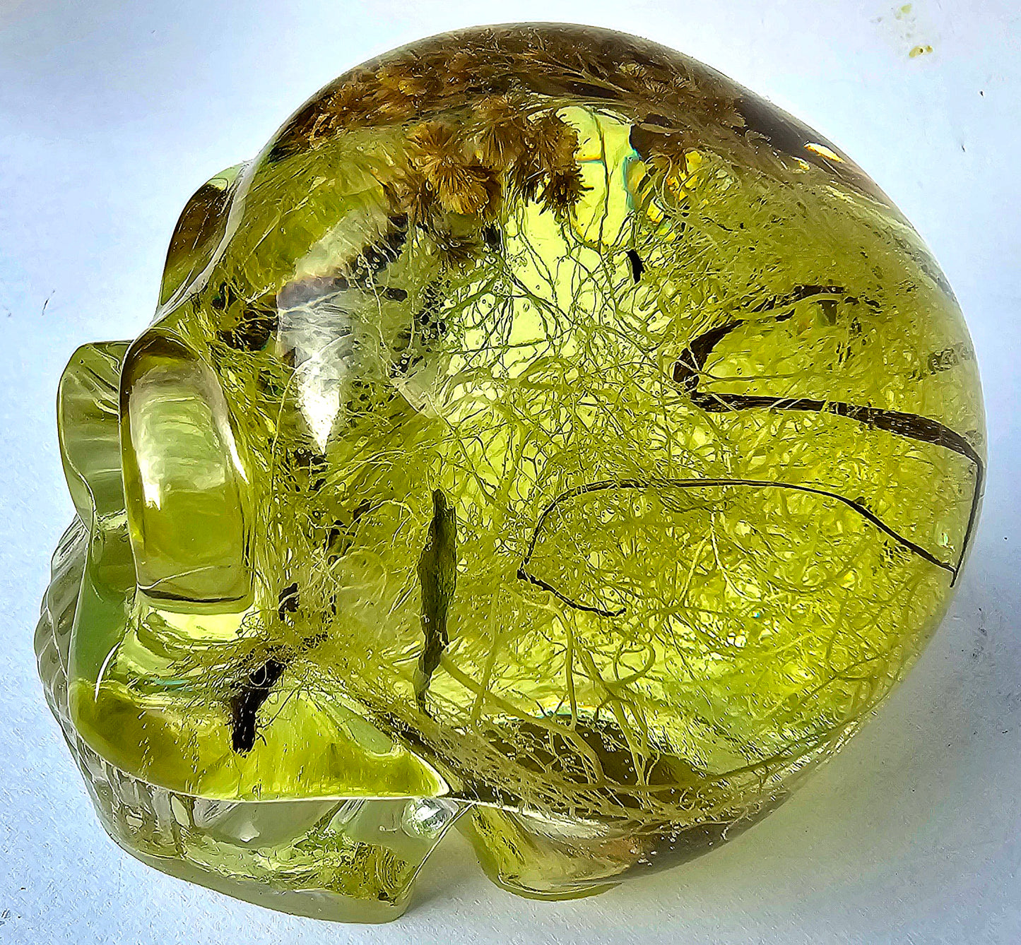 SOLD #0071 Handmade Resin Skull - Mixed tree old man's beard, tree bark